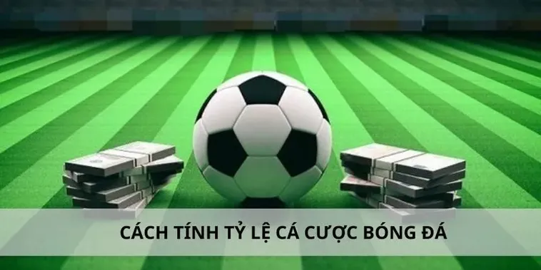 Tìm Hiểu Cá Cược Bóng Đá FB68: Hành Trang Cho Người Mới