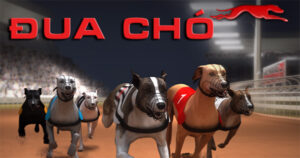 Hướng Dẫn Cách Chơi Game Nhanh Đua Chó Tại FB68 Hiệu Quả Nhất 1 Hướng Dẫn Cách Chơi Game Nhanh Đua Chó Tại FB68 Hiệu Quả Nhất